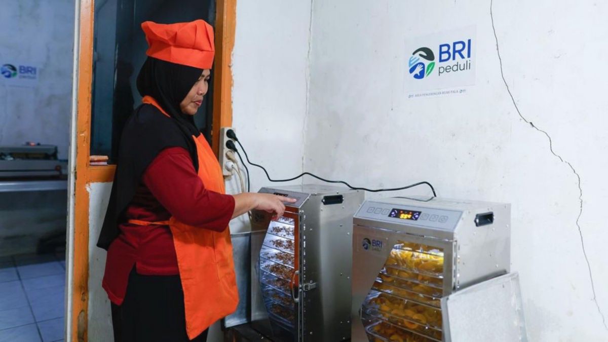 Bogor — KWT Bina Tani Mysari Pala Naik Kelas Berkat AURA BRI Peduli