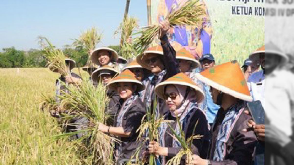 Jakarta — Dirut Bulog: Kesejahteraan Petani Berkat Sinergi Multipihak