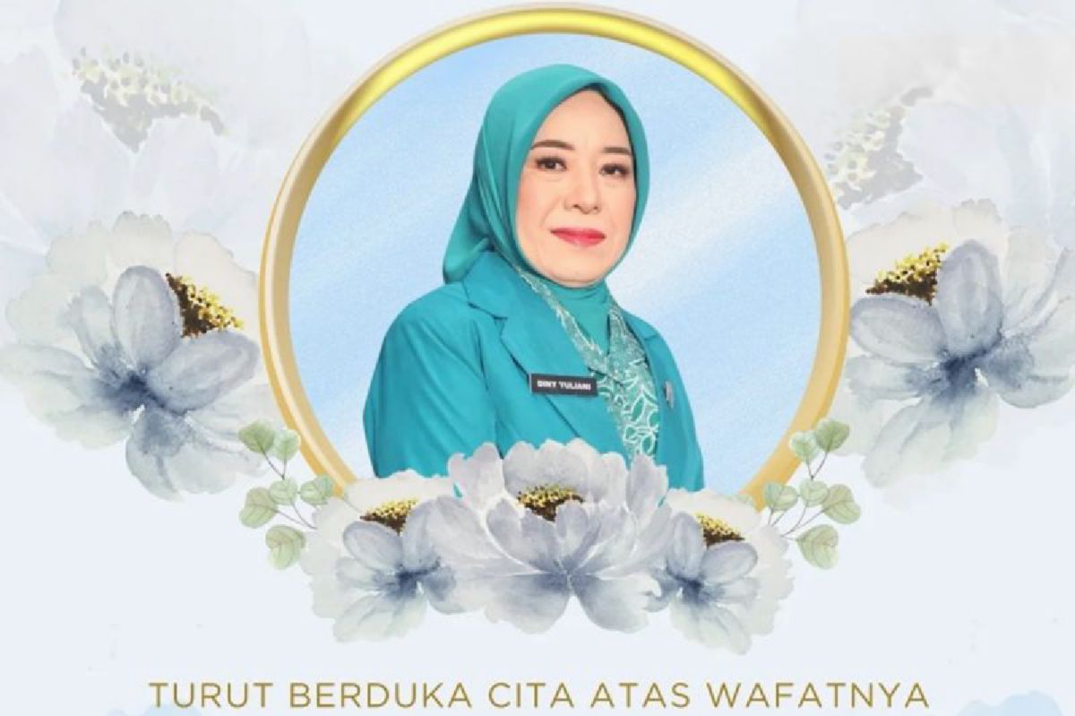 Dini Yuliani, Istri Bupati Purwakarta Om Zein, Meninggal Dunia