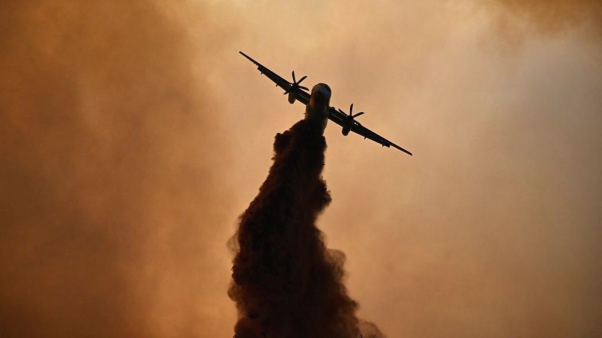 Pilot Legendaris Hilang di Pasifik, Diduga Kehabisan Bahan Bakar