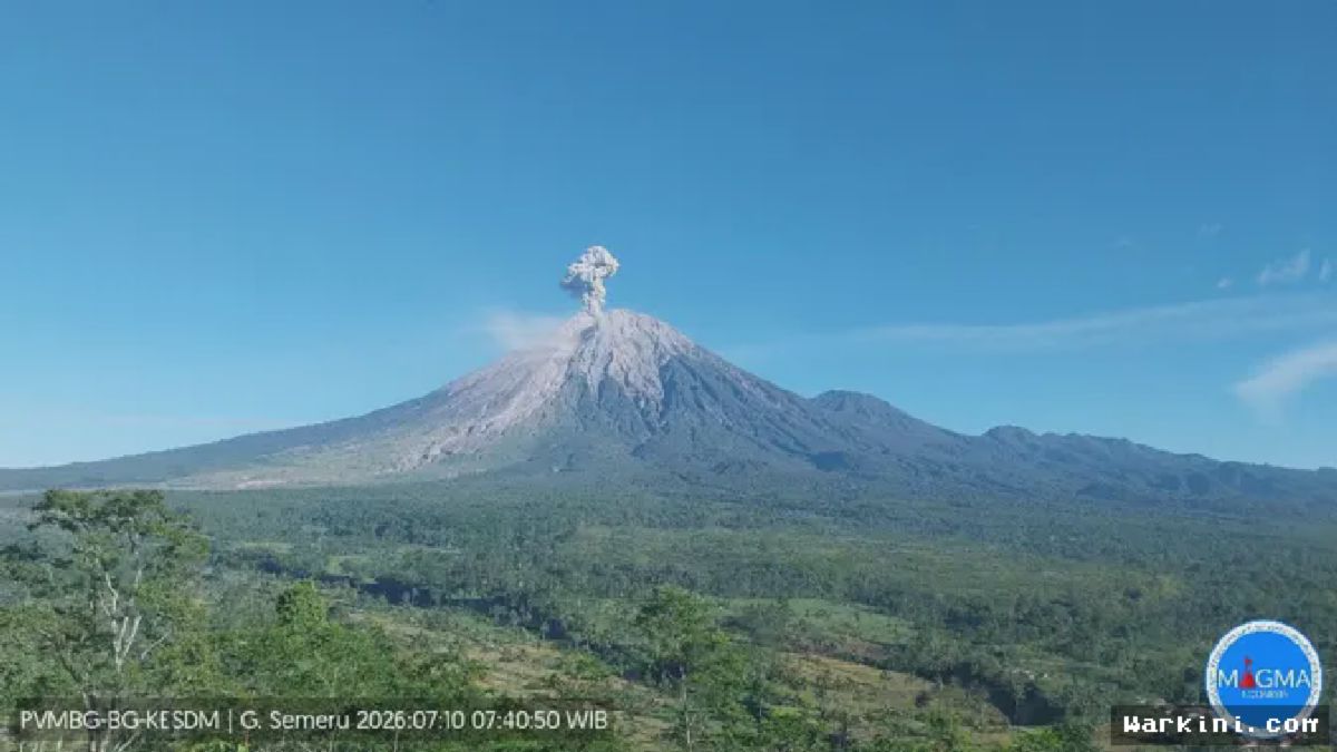 Semeru Erupsi Pagi Ini, Kolom Abu Capai 1.200 Meter