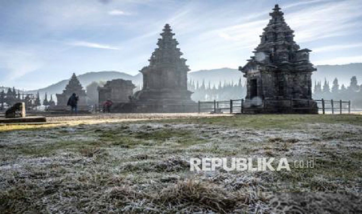 Embun Upas Rusak 30 Hektare Kentang, Petani Dieng Rugi Miliaran