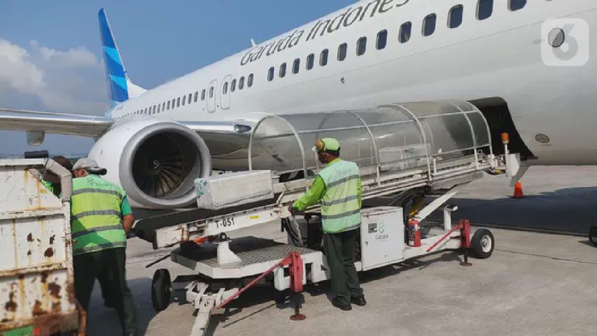 Empat Orangutan Diselamatkan, Garuda Terbangkan ke Kalimantan