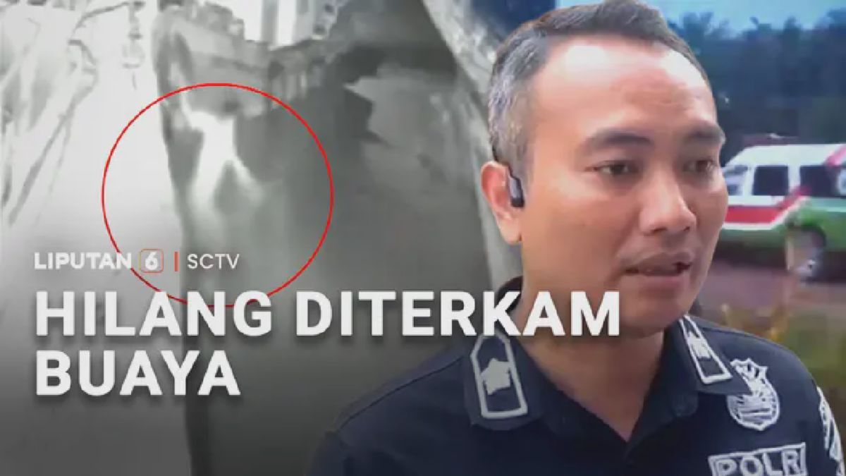 Pekerja Diterkam Buaya Saat Perbaiki Perahu, Ditemukan Tewas