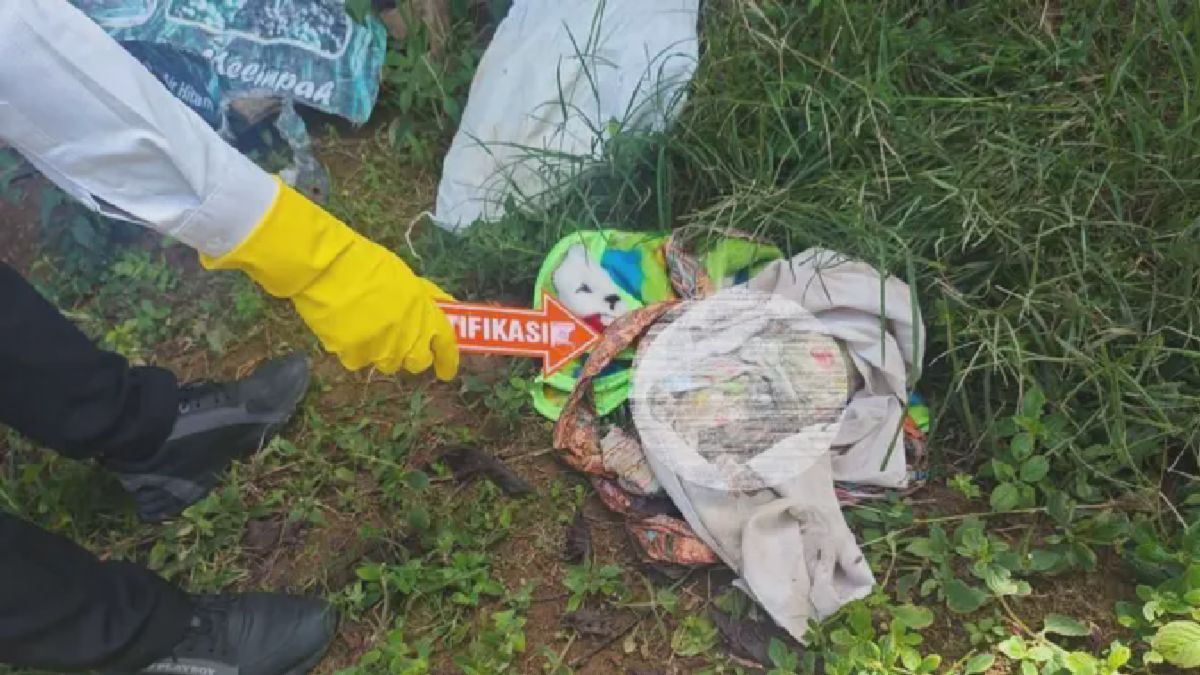 Lampung Barat — Ayah Kandung Tega Buang Bayi di Kebun