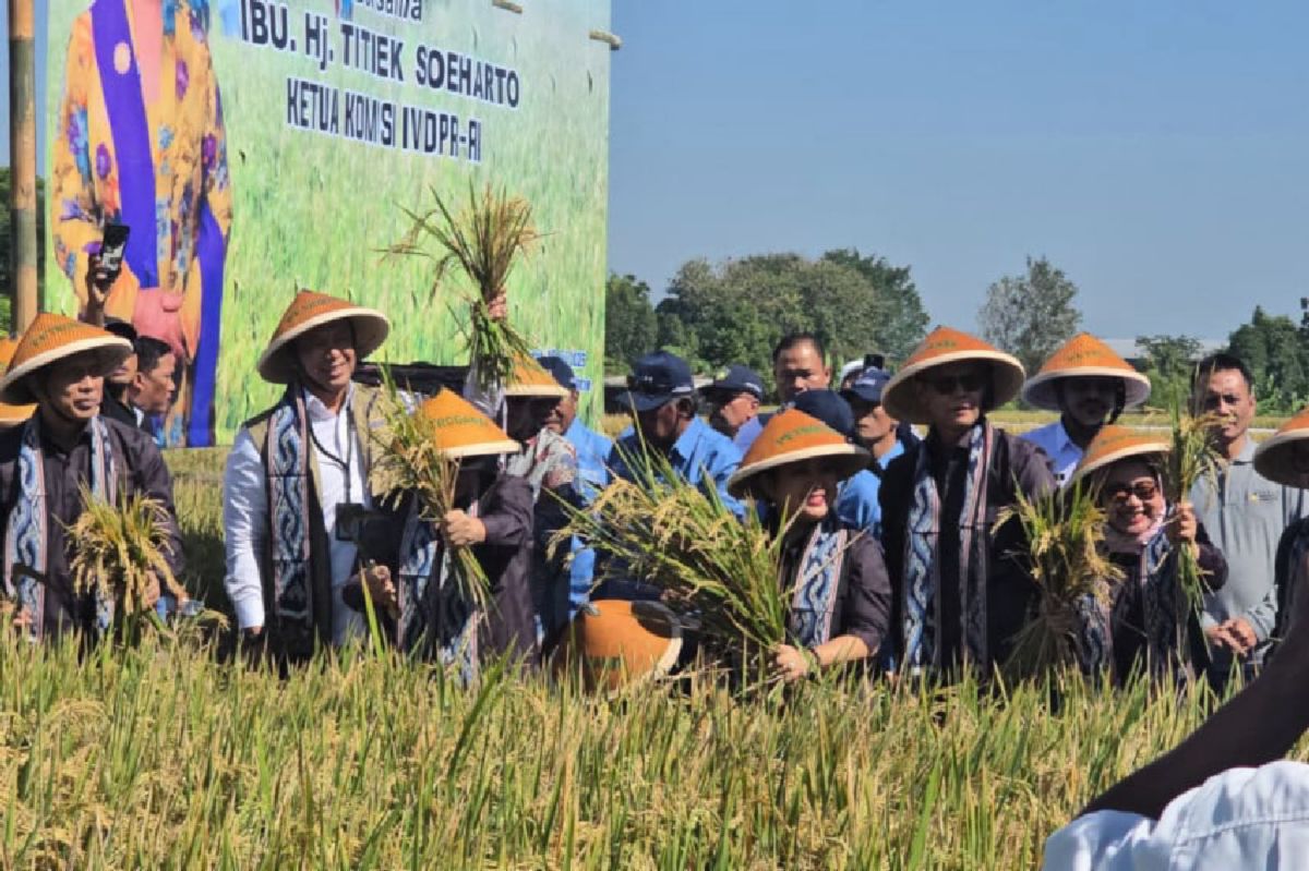 BULOG dan Komisi IV DPR Perkuat Sinergi di Klaten